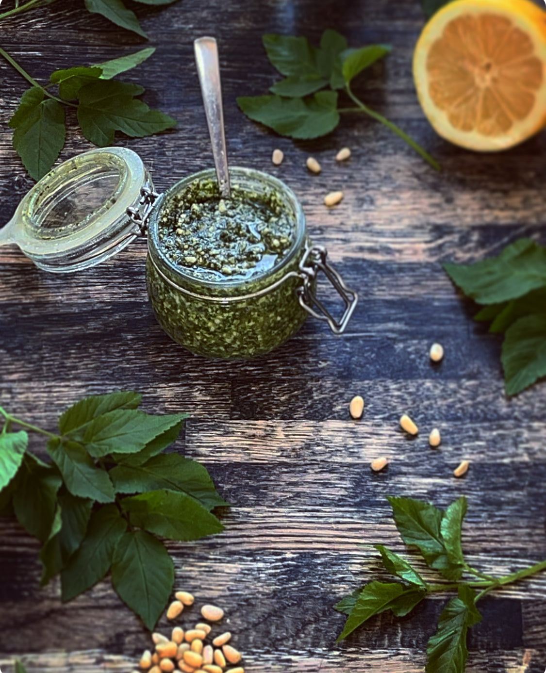 Skvalderkåls Pesto